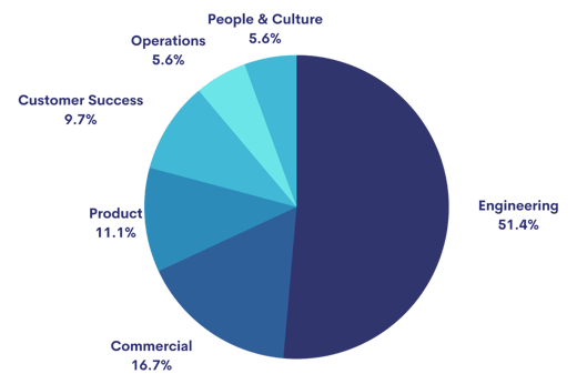 Sentinels-Growth-and-Diversity_team-pie-chart-1