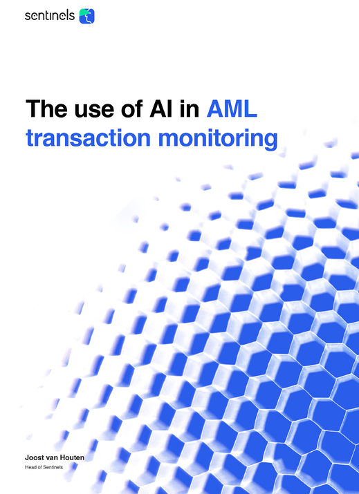 White paper AI in AML transaction monitoring - cover page